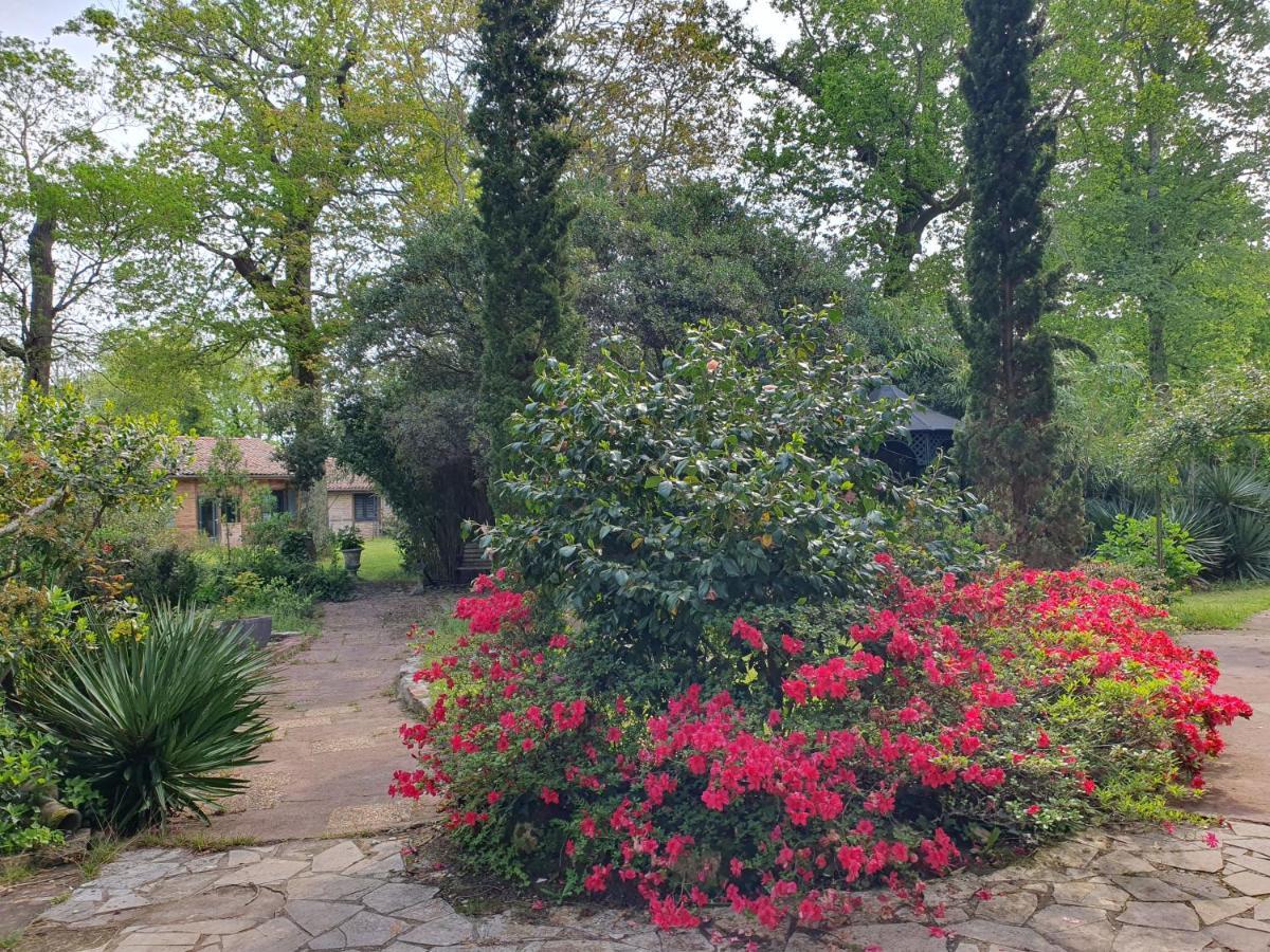 Manoir De Tireveste 레스페론 외부 사진