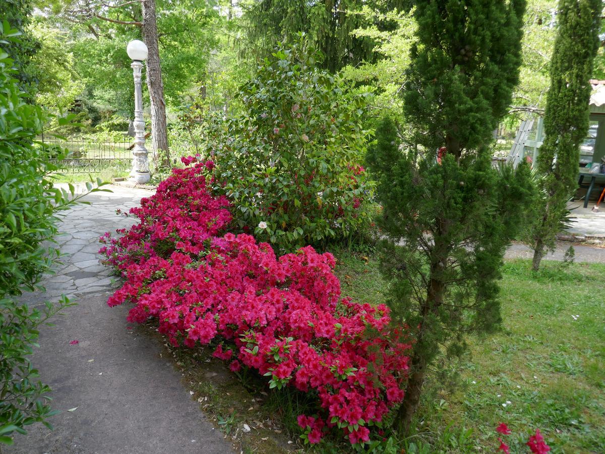 Manoir De Tireveste 레스페론 외부 사진